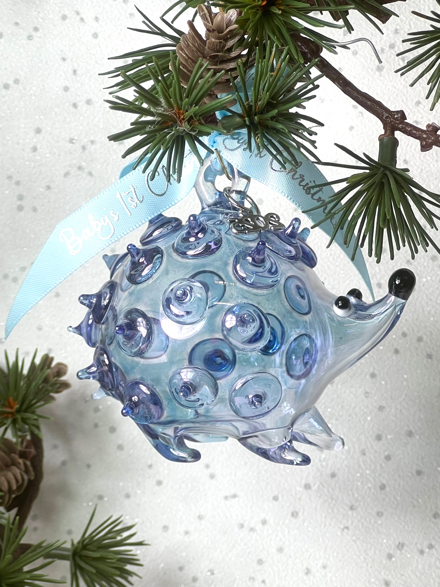 Baby's 2025 Hedgehog ~ Blue