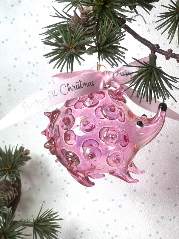 Baby's 2024 Hedgehog ~ Pink