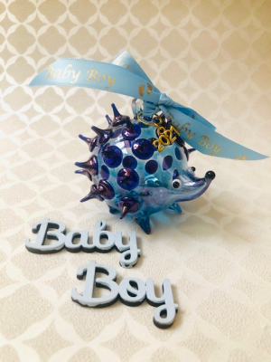 Baby's 2024 Hedgehog ~ Blue