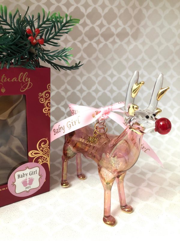 Baby's 2024 Reindeer ~ Silver - Image 5