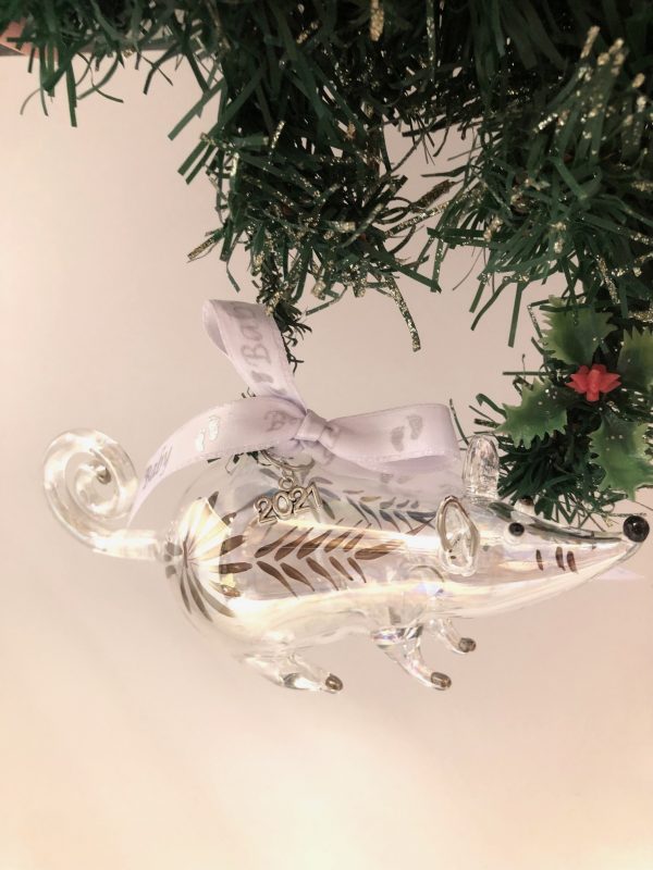 Baby's 2024 Mouse ~ Silver