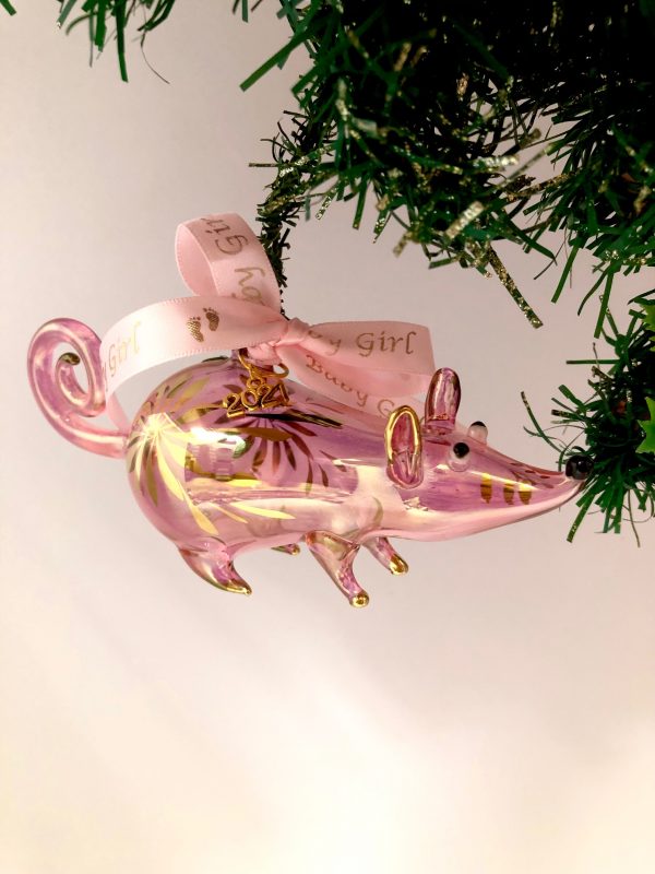 Baby's 2024 Mouse ~ Pink