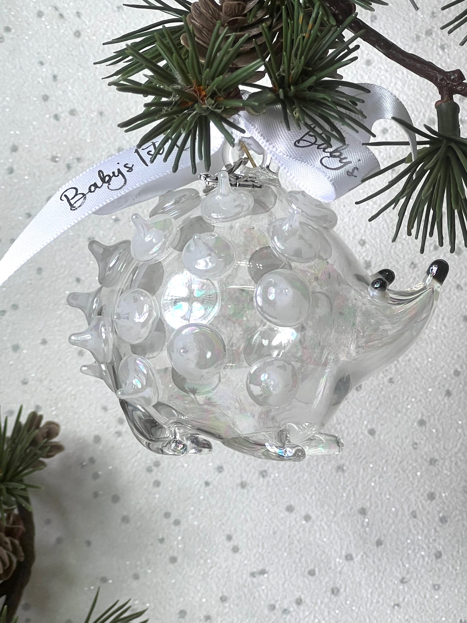 Baby's 2025 Hedgehog ~ Pearl