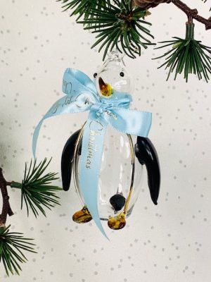 Baby's 2024 Penguin (M) ~ Clear/Blue