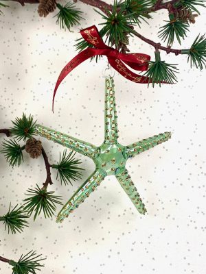 Starfish (L) ~ Green