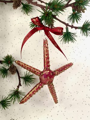 Starfish (L) ~ Red
