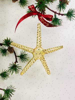 Starfish (L) ~ Yellow