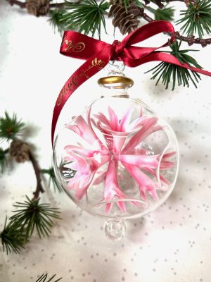 Firecracker Ornament (L) ~ Pink