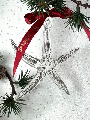 Starfish (M) ~ Silver