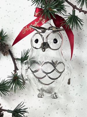 Wise Old Owl - Silver