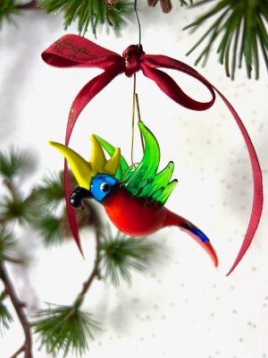 Rainbow Lorikeet (M) ~ Multi