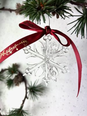 Snowflake 3-D (M) ~ Clear