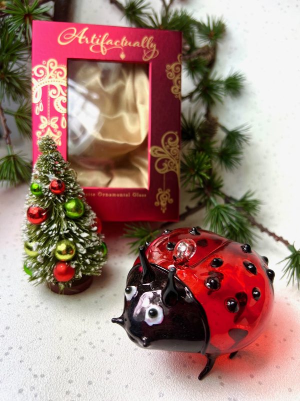 Ladybird (L) ~ Red/Black - Image 3