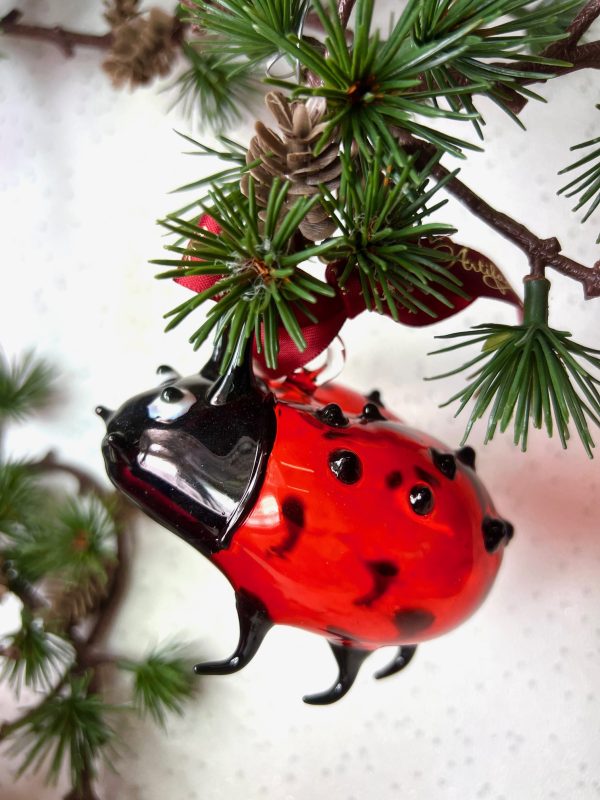 Ladybird (L) ~ Red/Black