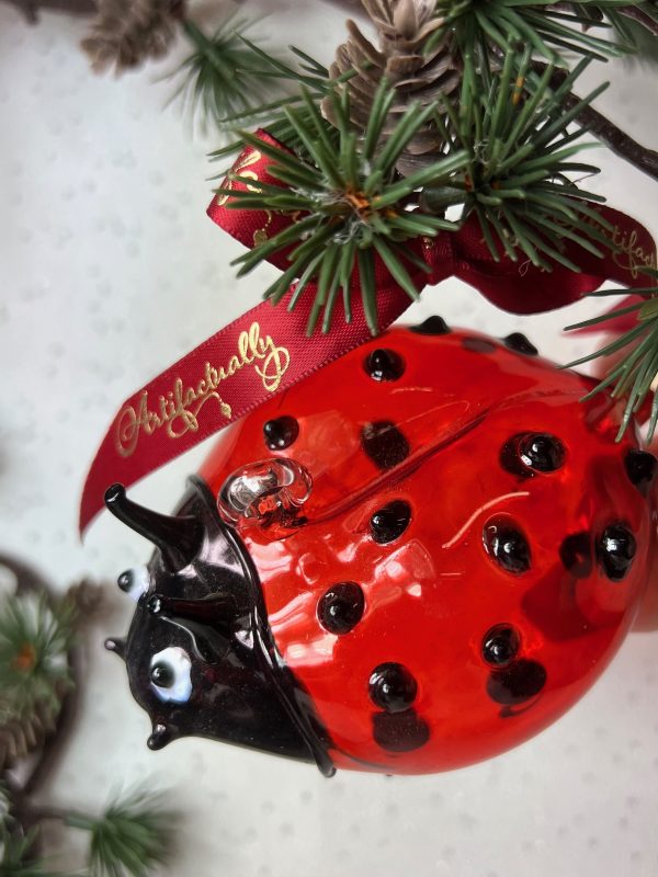 Ladybird (L) ~ Red/Black - Image 2