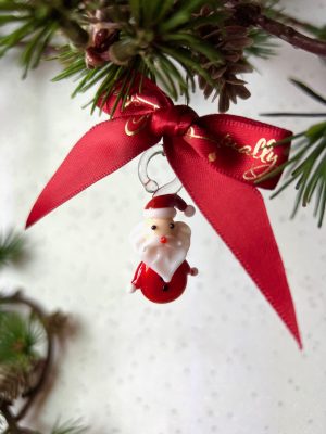 Santa (MINI) ~ Red