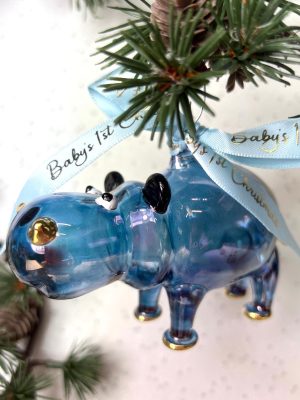 Baby’s 2025 Hippo (M) ~ Blue