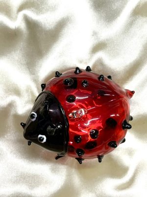 Christmas Novelty Ornament (M) ~ Ladybug - Gift Box