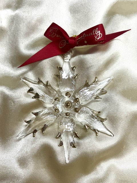 Christmas Star Ornament (M) ~ Clear